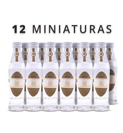 12 Miniaturas 9550 Vodka